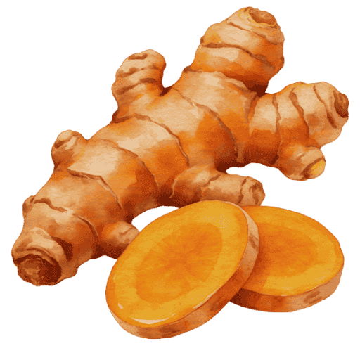 Haldi